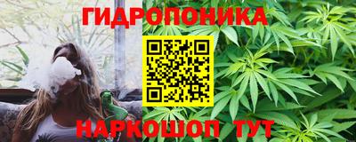 гидропоника Новозыбков