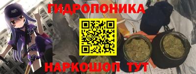 гидра Новодвинск